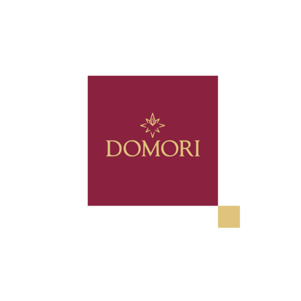 Domori® | Kit Degustazione 12 Cioccolatini Fondenti Assortiti Singole Origini | Astuccio Regalo Napolitains Cacao Trinitario 70% - immagine 2