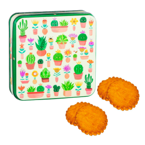 DV France | Lattina Metallo Biscotti Puro Burro Fior di Sale - 130 Gr | Biscotti Burro Salato Galettes Latta Fiori Cactus a Rilievo