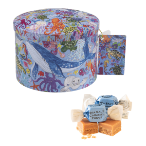 Gardiners of Scotland | Fudge Lattina Metallo Decori Acquario | Caramelle Fudge Inglesi Caramello Salato - 200 Gr | Fudge Lattina Stampe Marine